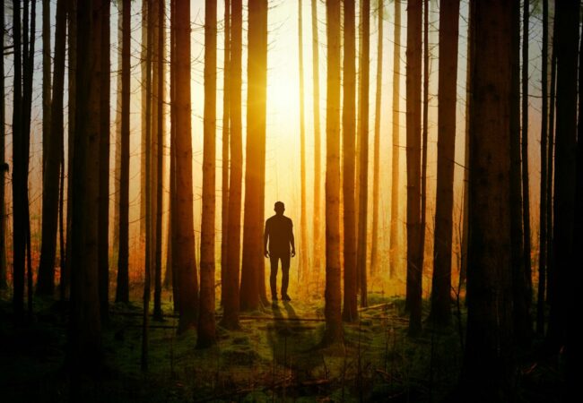 🕊️ What Is Salvation?