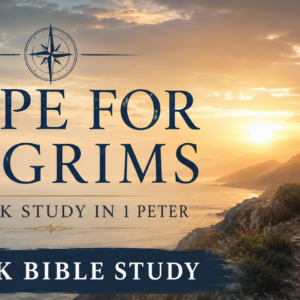 hope for pilgrims